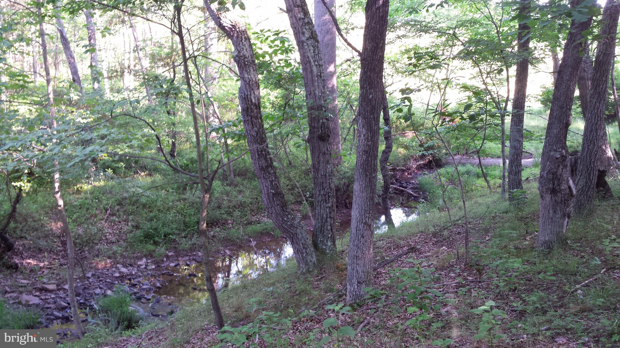 2846 Mauzy Road Berkeley Springs, WV 25411 - Photo 26 of 29 View
