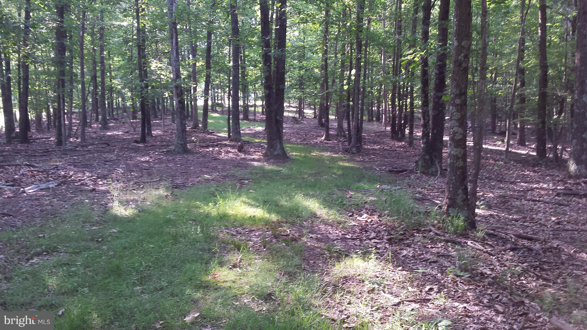 2846 Mauzy Road Berkeley Springs, WV 25411 - Photo 27 of 29 View