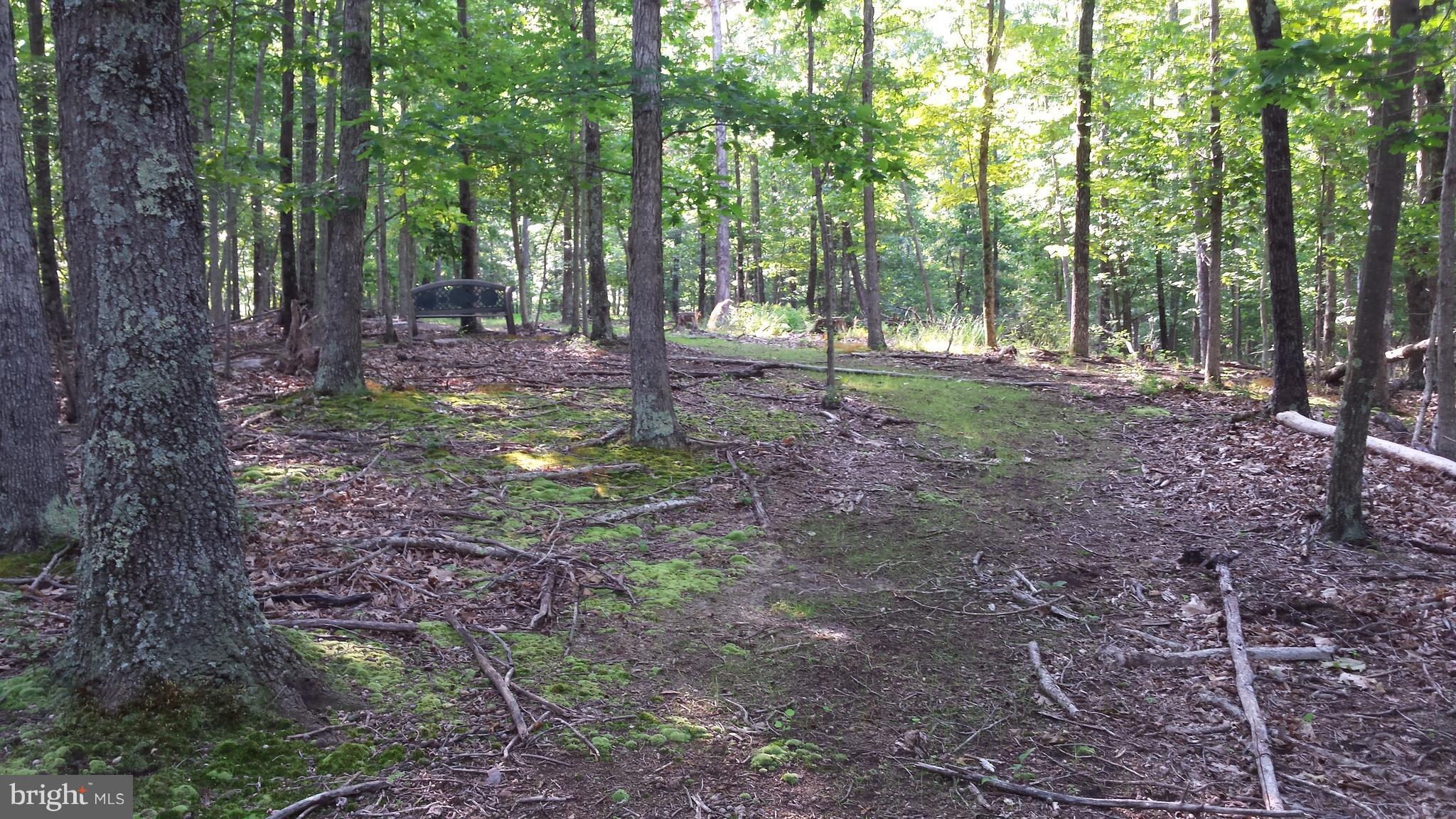 2846 Mauzy Road Berkeley Springs, WV 25411 - Photo 28 of 29 View