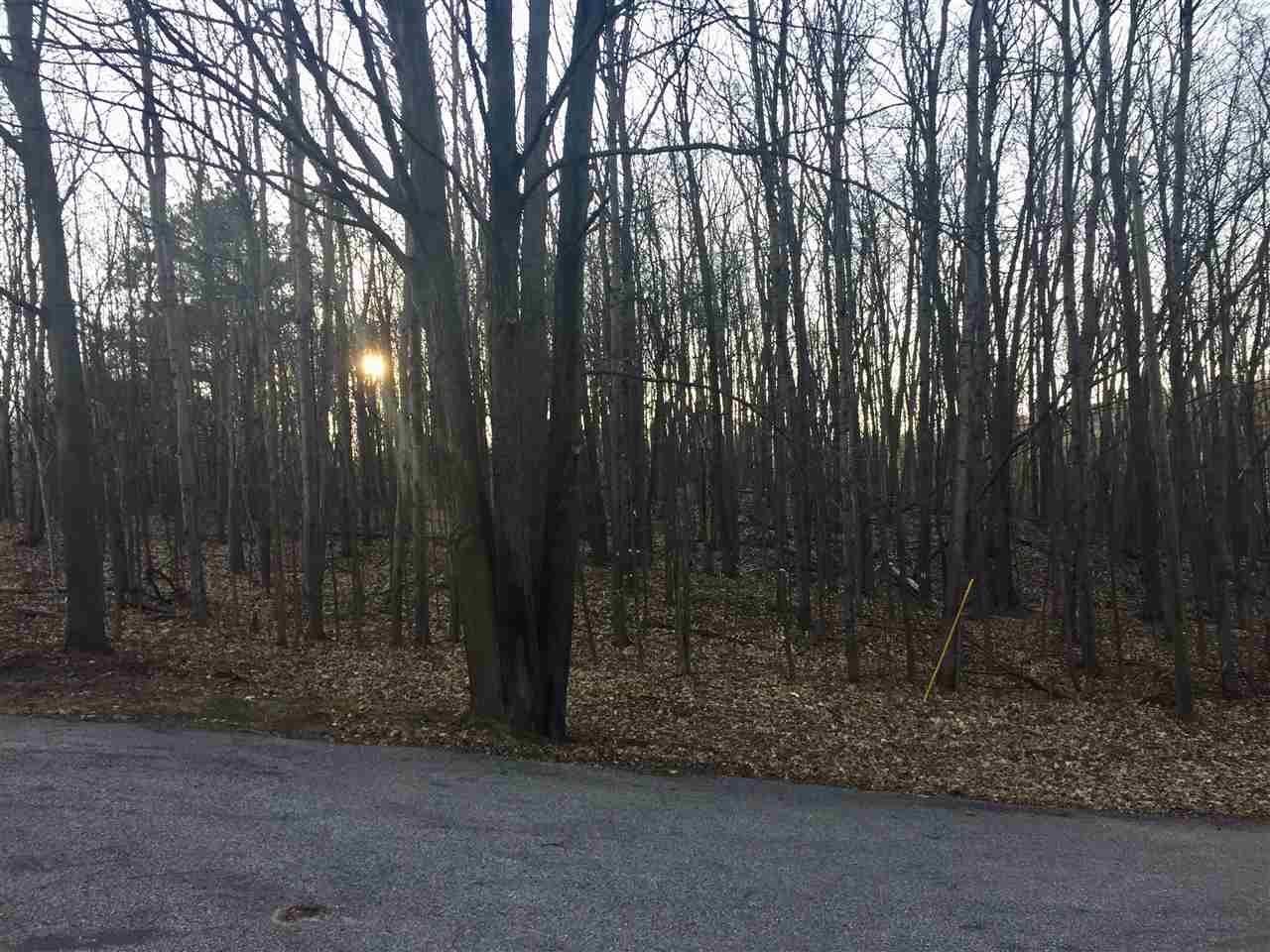 3147 Casey Road Frankfort, MI 49635 - Photo 19 of 24 1879173-18.JPG