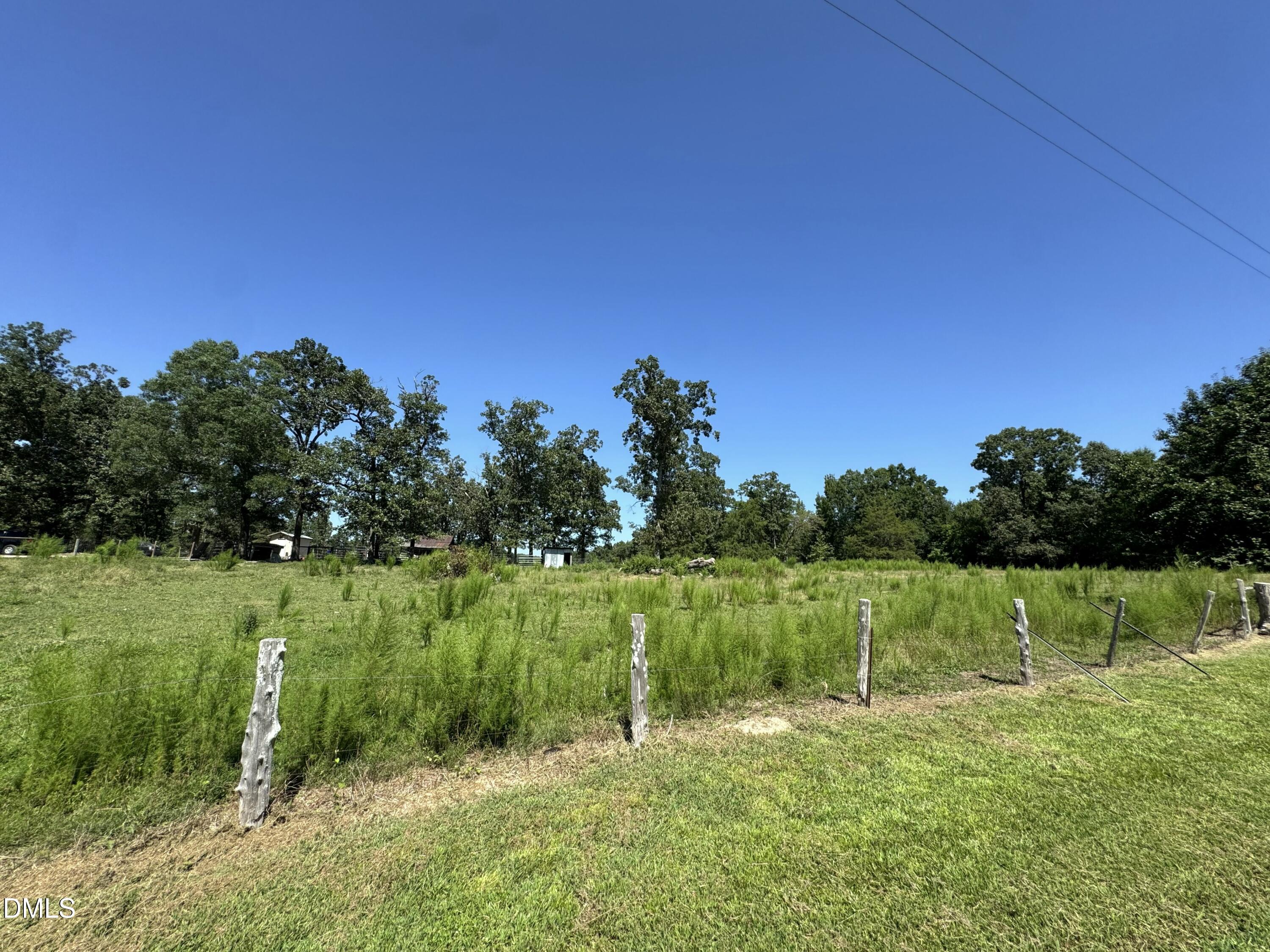 1894 Glovers Church Road Bennett, NC 27208 - Photo 13 of 27 IMG_9908-1