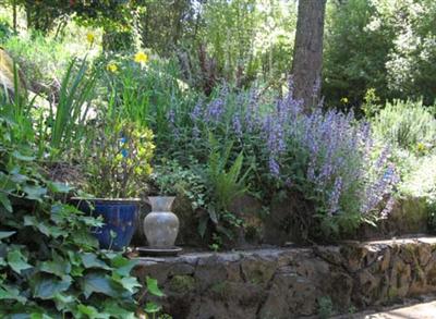 3980 Montecito Avenue Santa Rosa, CA 95404 - Photo 6 of 6 a backyard of a house with table and chairs and wooden fence
