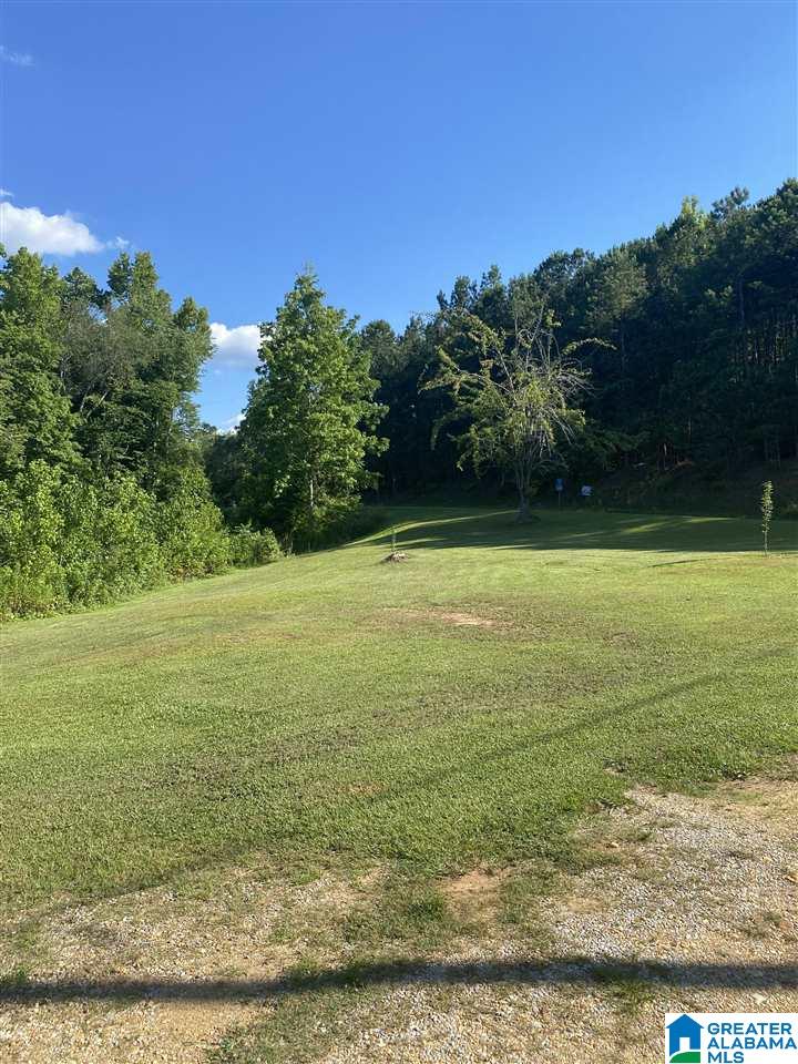 7582 County Road 19 Heflin, AL 36264 - Photo 30 of 30