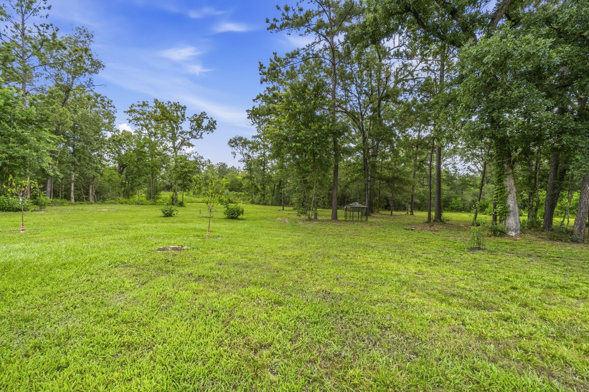 960 Towns Cemetery Road Livingston, TX 77351 - Photo 35 of 50
