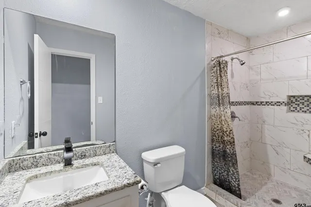 a bathroom with a granite countertop sink toilet and shower