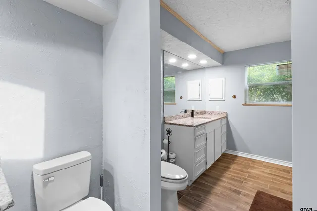 a bathroom with a sink toilet vanity and window