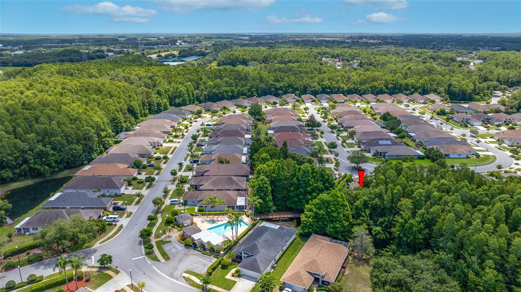 7740 Craighurst Loop Trinity, FL 34655 - Photo 42 of 65