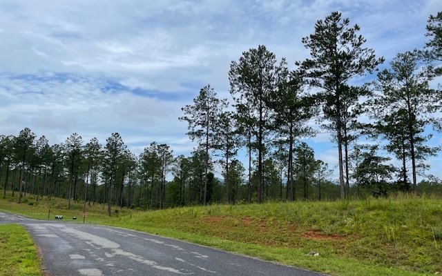 68 High River Road Hiawassee, GA 30546 - Photo 10 of 17 Additional View
