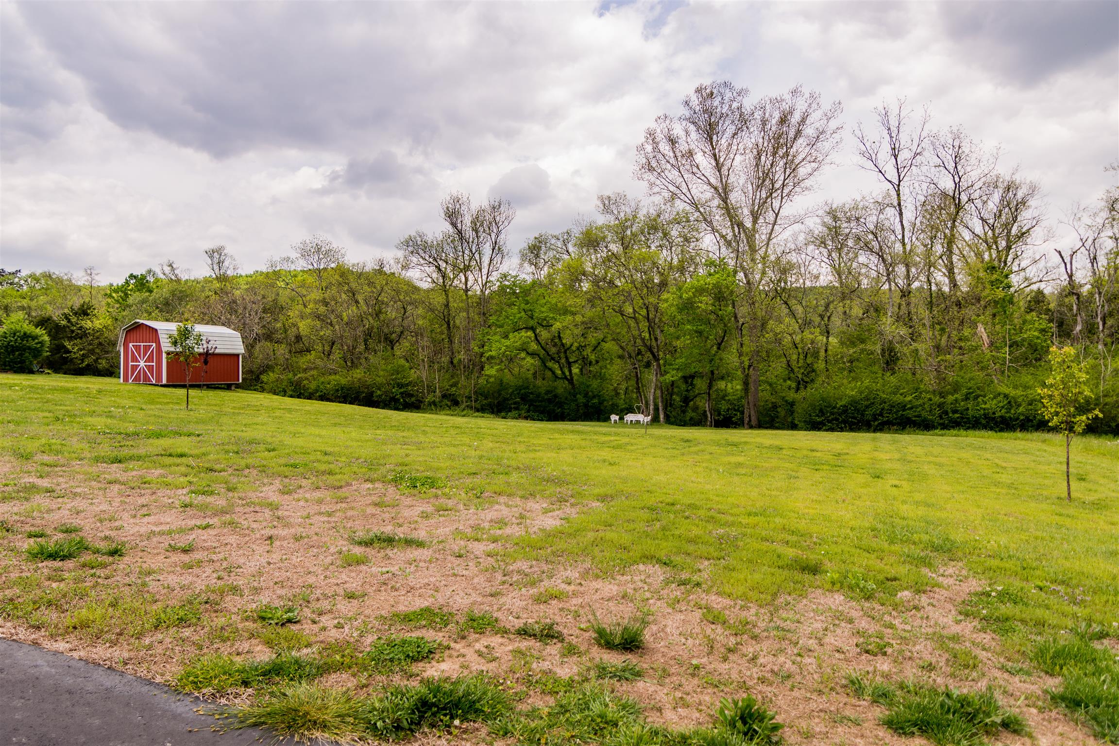 142 Hogan's Creek Road Carthage, TN 37030 - Photo 6 of 18 Gallery Image 6