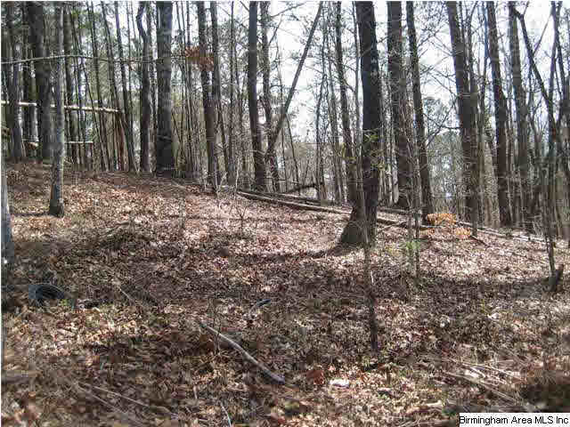 Oakmont Road, Unit 36B Birmingham, AL 35244 - Photo 1 of 3