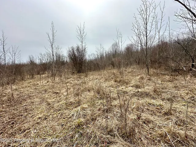 $105,000 | Murphy Hill Road, Pleasant Mount, PA 18453