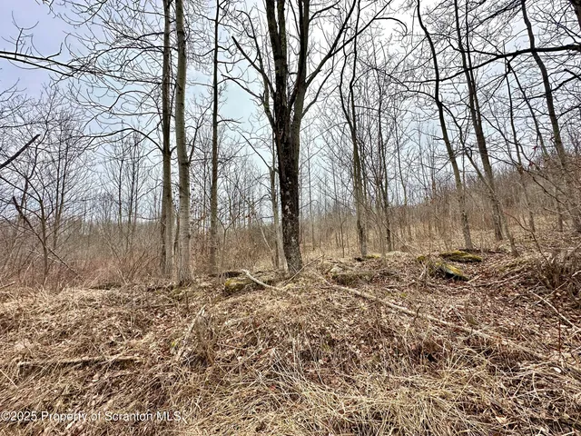 $105,000 | Murphy Hill Road, Pleasant Mount, PA 18453