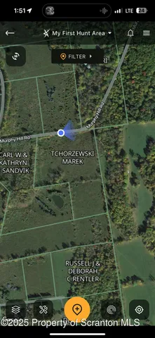 $105,000 | Murphy Hill Road, Pleasant Mount, PA 18453