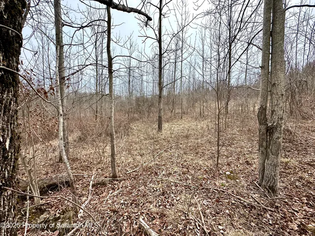 $105,000 | Murphy Hill Road, Pleasant Mount, PA 18453