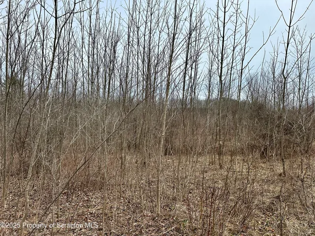 $105,000 | Murphy Hill Road, Pleasant Mount, PA 18453