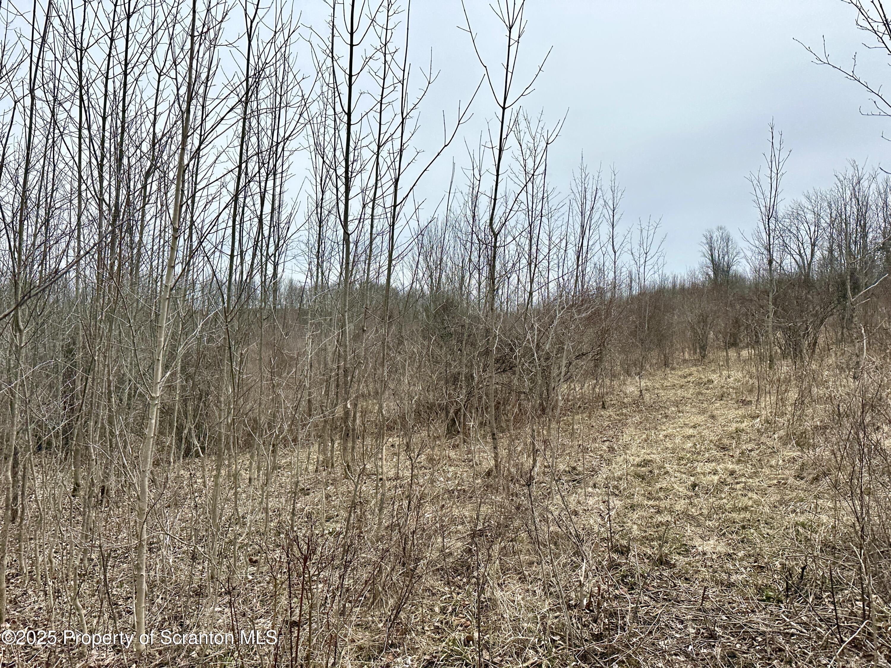 Murphy Hill Road Pleasant Mount, PA 18453 - Photo 6 of 9 IMG_0060