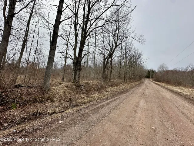 $105,000 | Murphy Hill Road, Pleasant Mount, PA 18453