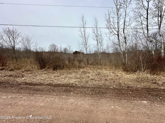 $105,000 | Murphy Hill Road, Pleasant Mount, PA 18453