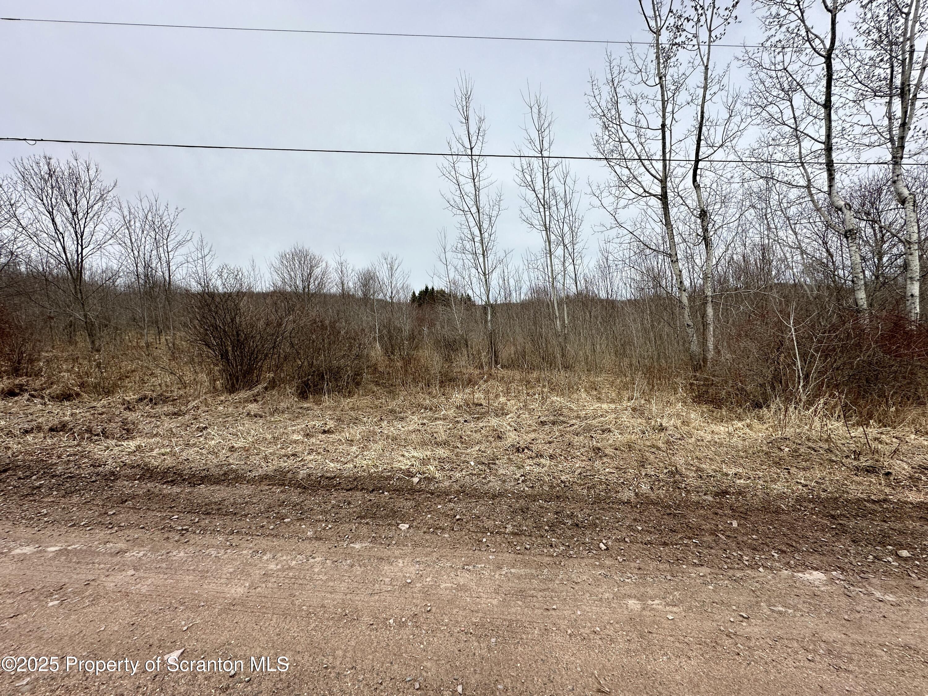 Murphy Hill Road Pleasant Mount, PA 18453 - Photo 8 of 9 IMG_0067