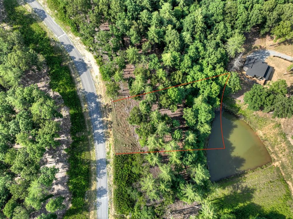 190 Split Creek Road Morganton, GA 30560 - Photo 1 of 16 Main View