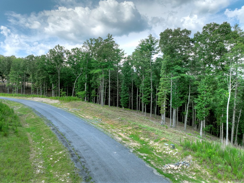 190 Split Creek Road Morganton, GA 30560 - Photo 11 of 16 Gallery Image 11