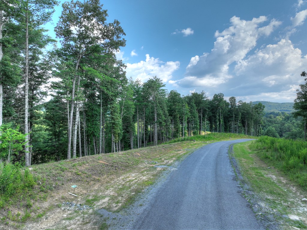 190 Split Creek Road Morganton, GA 30560 - Photo 12 of 16 Gallery Image 12