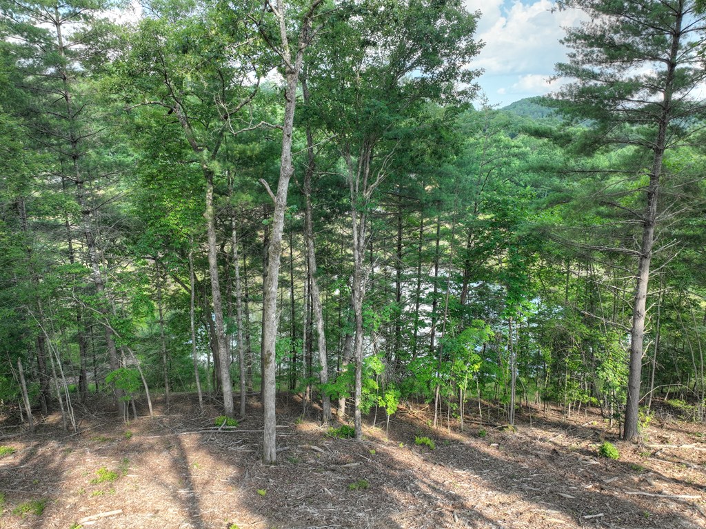 190 Split Creek Road Morganton, GA 30560 - Photo 5 of 16 Gallery Image 5