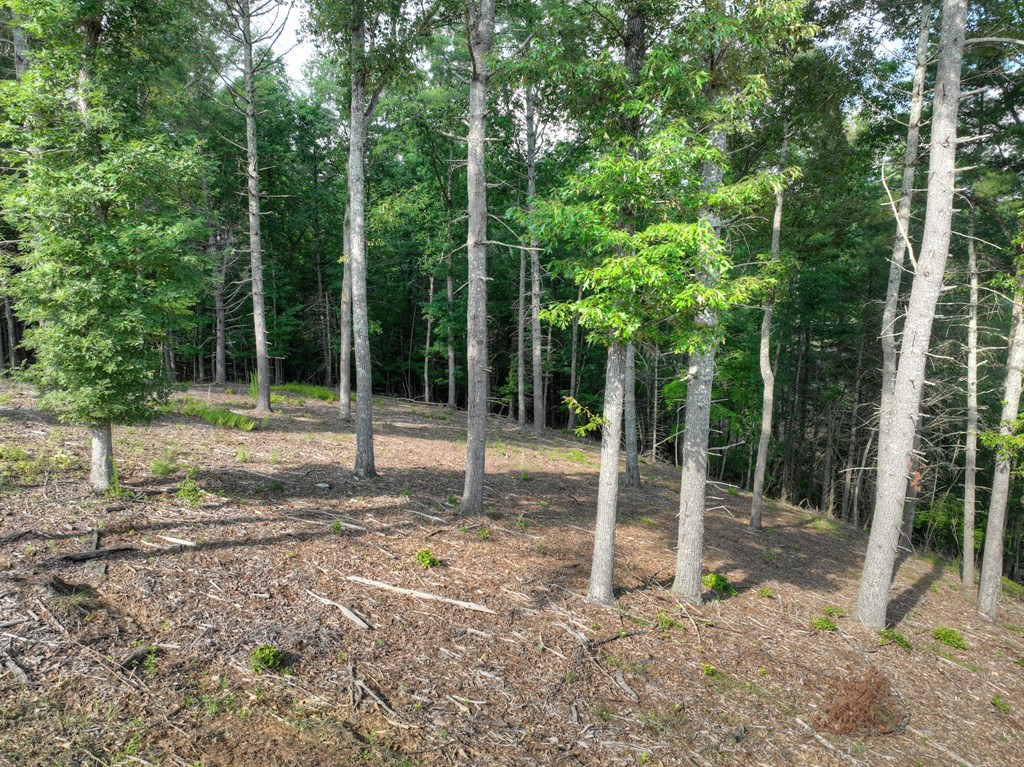 190 Split Creek Road Morganton, GA 30560 - Photo 6 of 16 Gallery Image 6