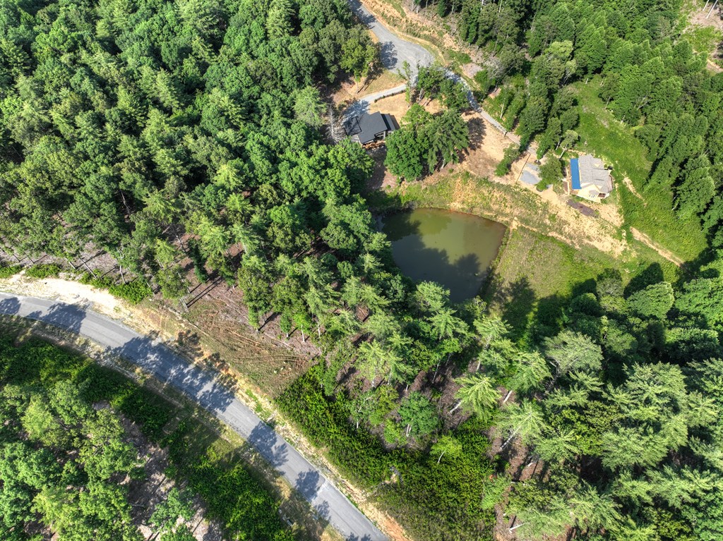 190 Split Creek Road Morganton, GA 30560 - Photo 8 of 16 Gallery Image 8