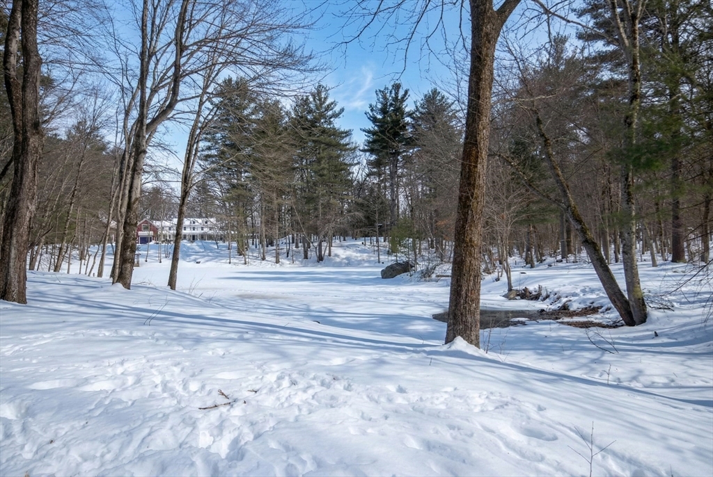 316 Lindsay Pond Road Concord, MA 01742 - Photo 39 of 42