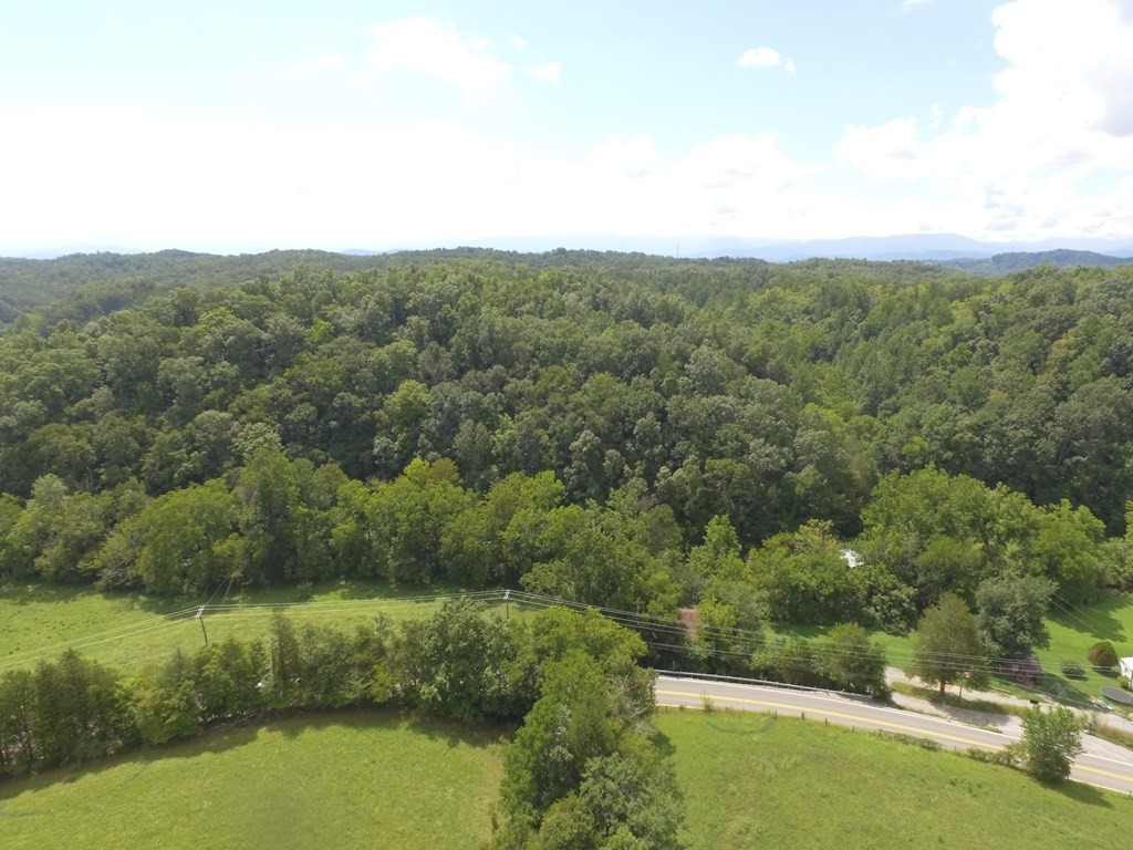 1549 Douglas Dam Road Sevierville, TN 37876 - Photo 20 of 30