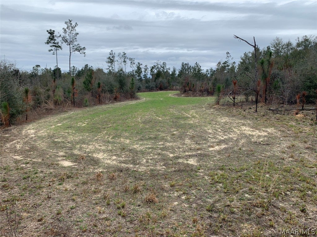 0 Ray Armstrong Road Andalusia, AL 36421 - Photo 31 of 34 Gallery Image 31