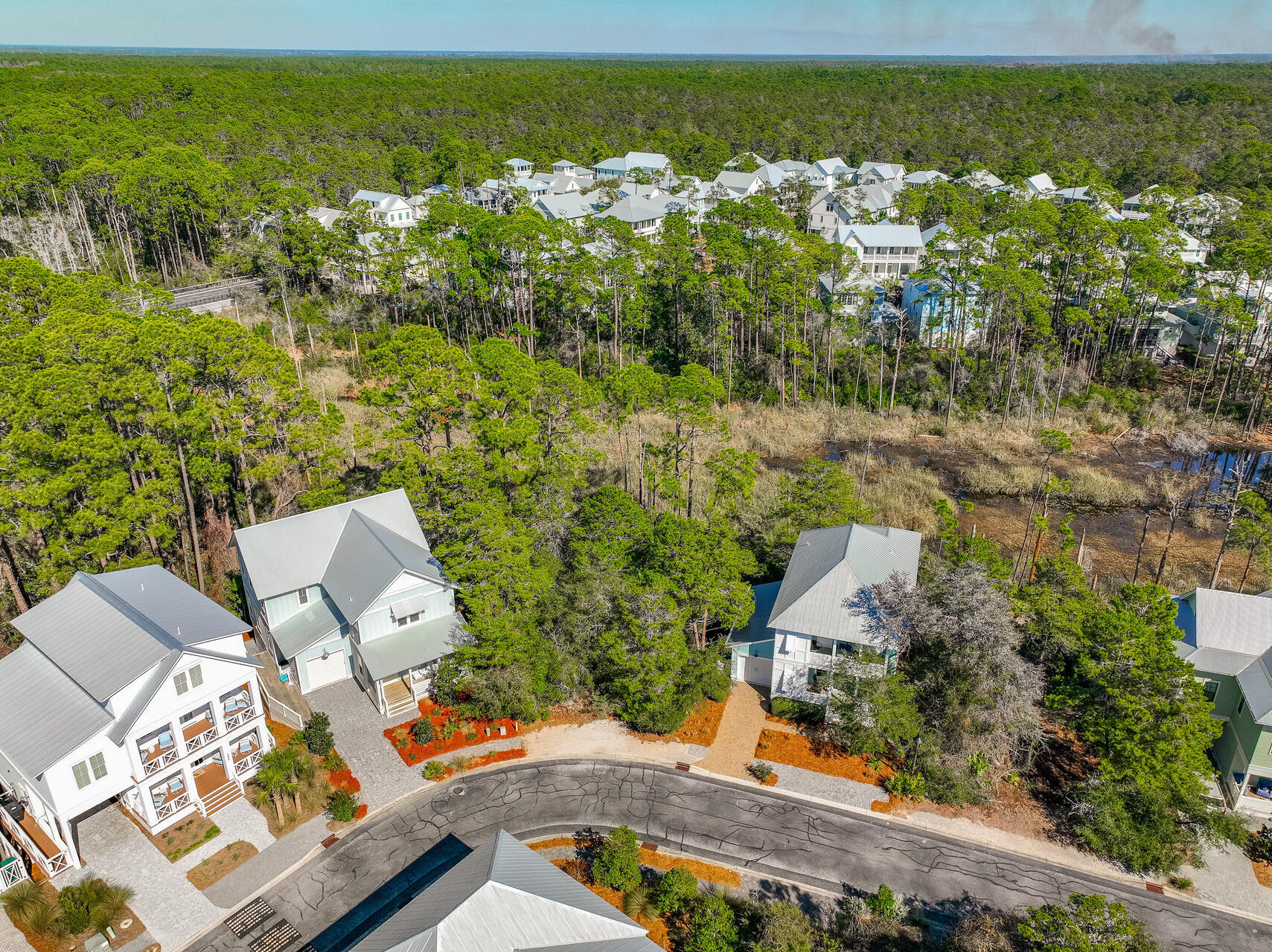 302 Cabana Trail Santa Rosa Beach, FL 32459 - Photo 53 of 70 View of lake behind the home