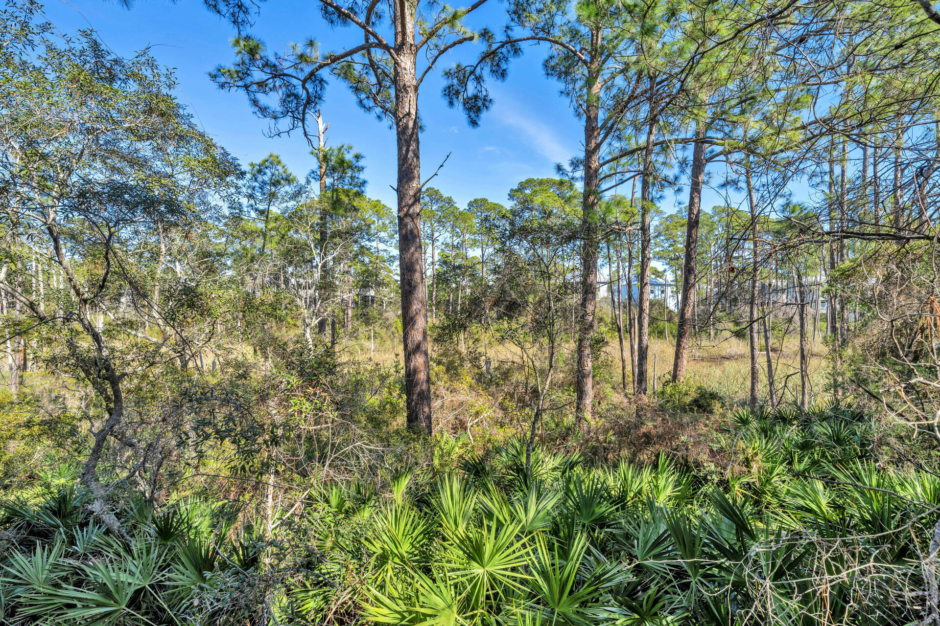 302 Cabana Trail Santa Rosa Beach, FL 32459 - Photo 70 of 70 Enjoy nature from your back balcony