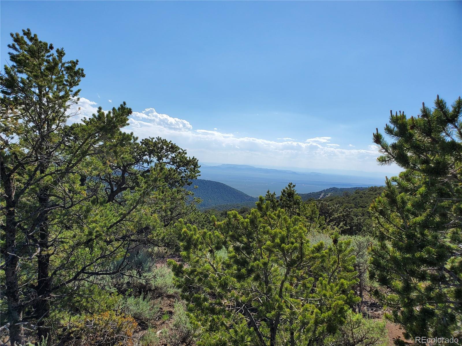 5119 Adelaida Road Fort Garland, CO 81133 - Photo 2 of 17 a view of a bunch of trees