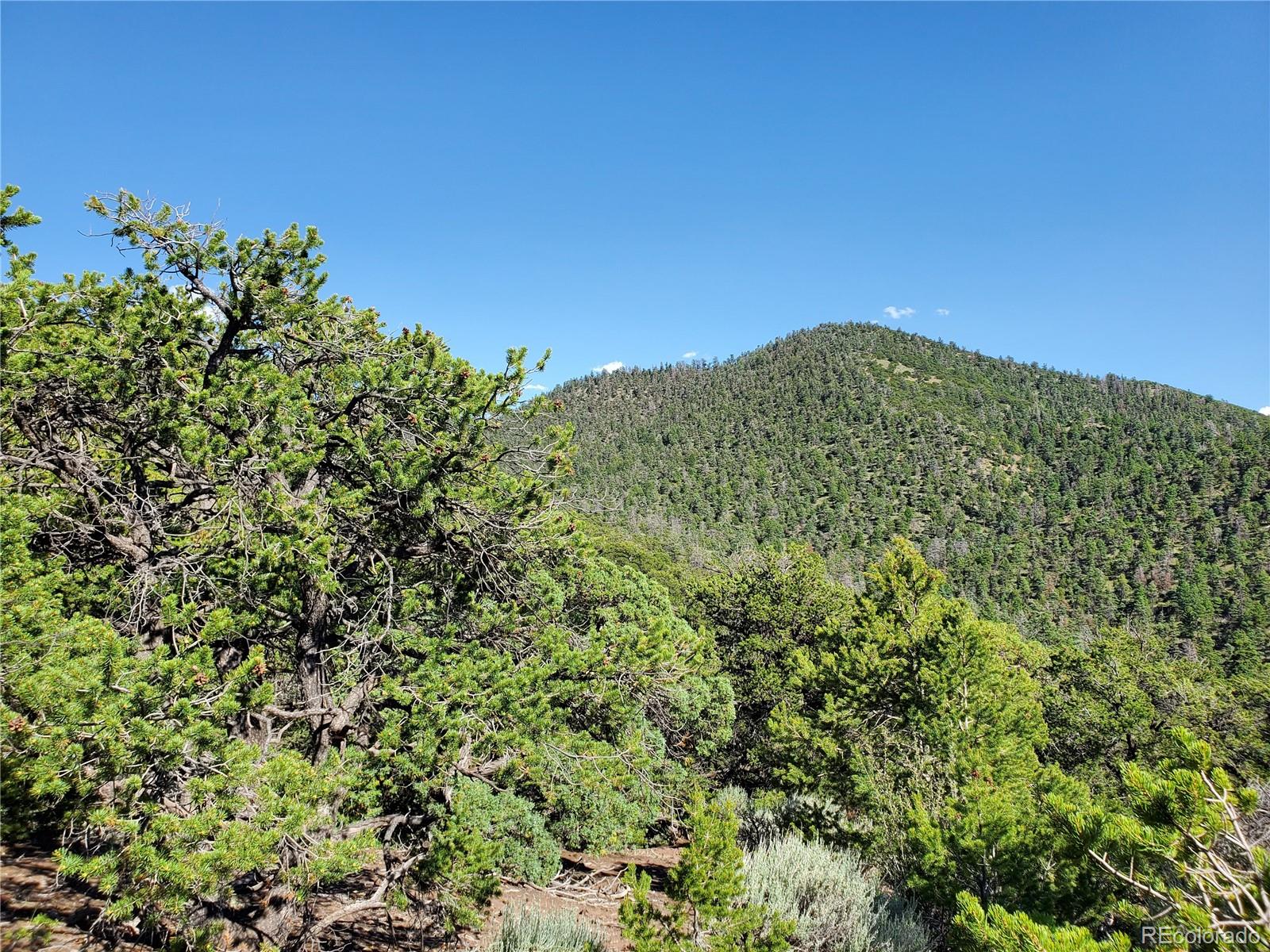 5119 Adelaida Road Fort Garland, CO 81133 - Photo 4 of 17 a view of a large garden with a mountain in the background