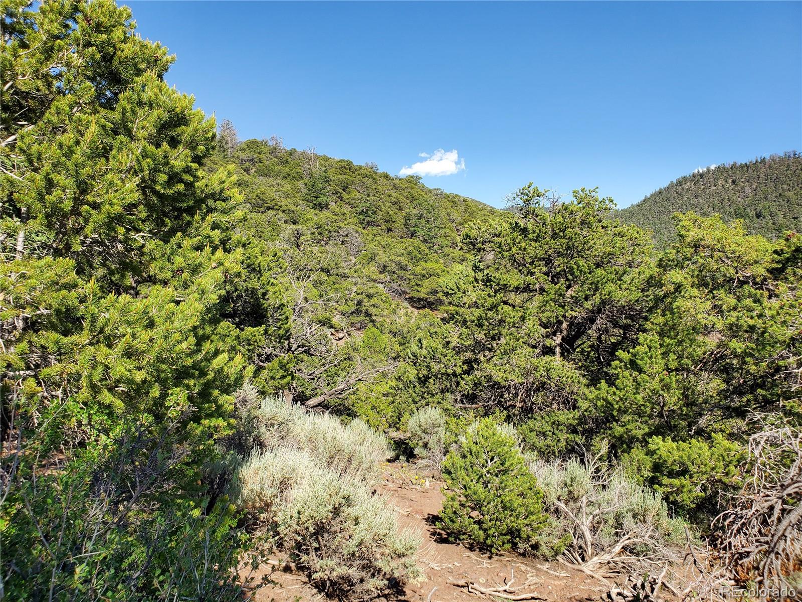 5119 Adelaida Road Fort Garland, CO 81133 - Photo 7 of 17 a view of a field