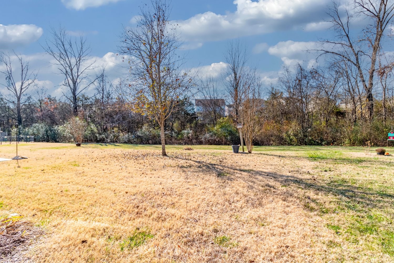 1059 Countess Lane Spring Hill, TN 37174 - Photo 7 of 35 Gallery Image 7
