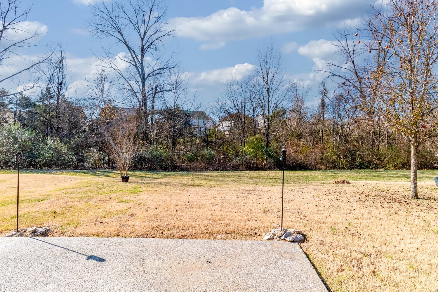 1059 Countess Lane Spring Hill, TN 37174 - Photo 8 of 35 Gallery Image 8