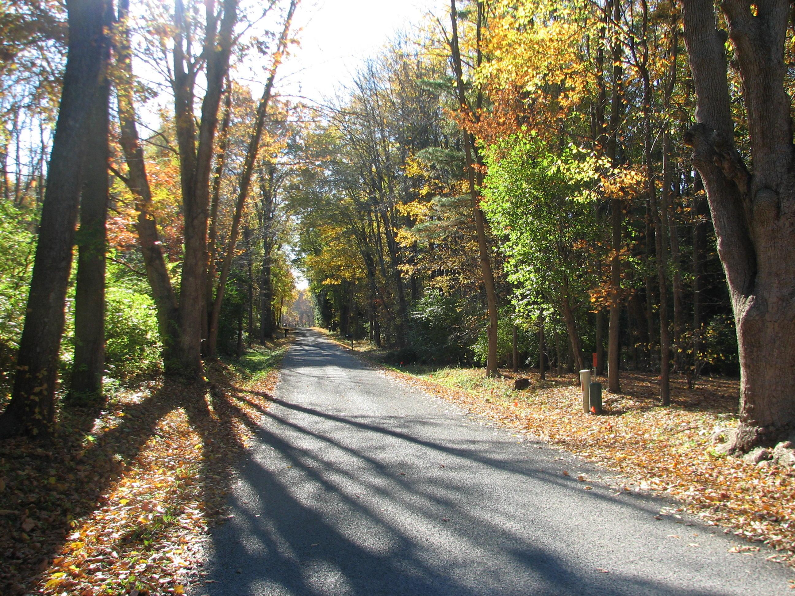 0 Duncan Run Road Galena, OH 43021 - Photo 3 of 19 Gallery Image 3