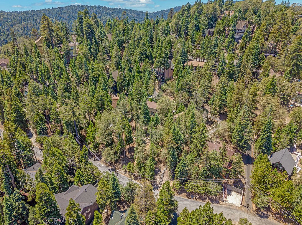 318 Old Toll Road Lake Arrowhead, CA 92352 - Photo 37 of 44 a view of a forest with a tree