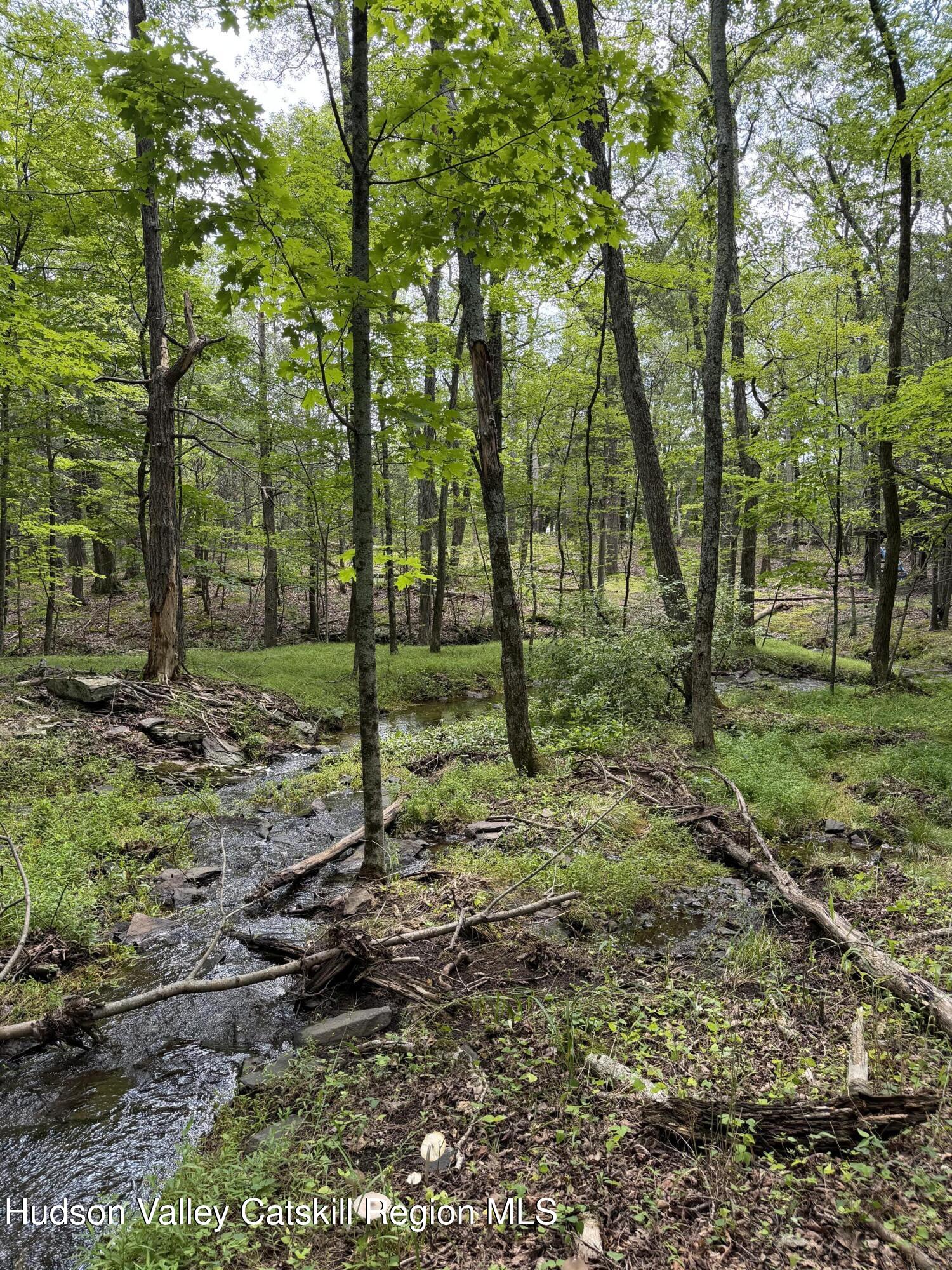 248 Stoll Road Saugerties, NY 12477 - Photo 23 of 24 Creek