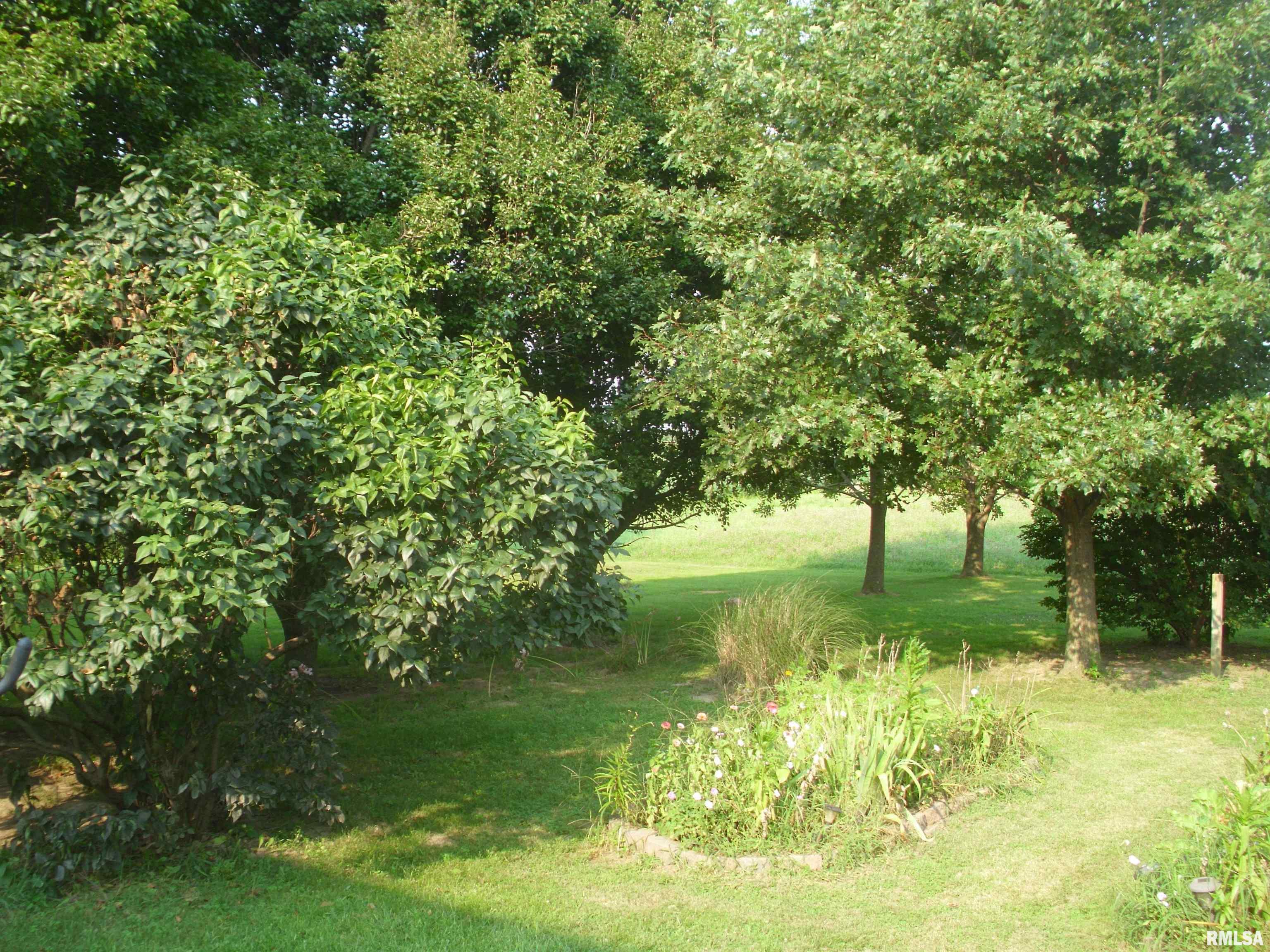 16670 6 Corners Road Virginia, IL 62691 - Photo 6 of 51 Gallery Image 6