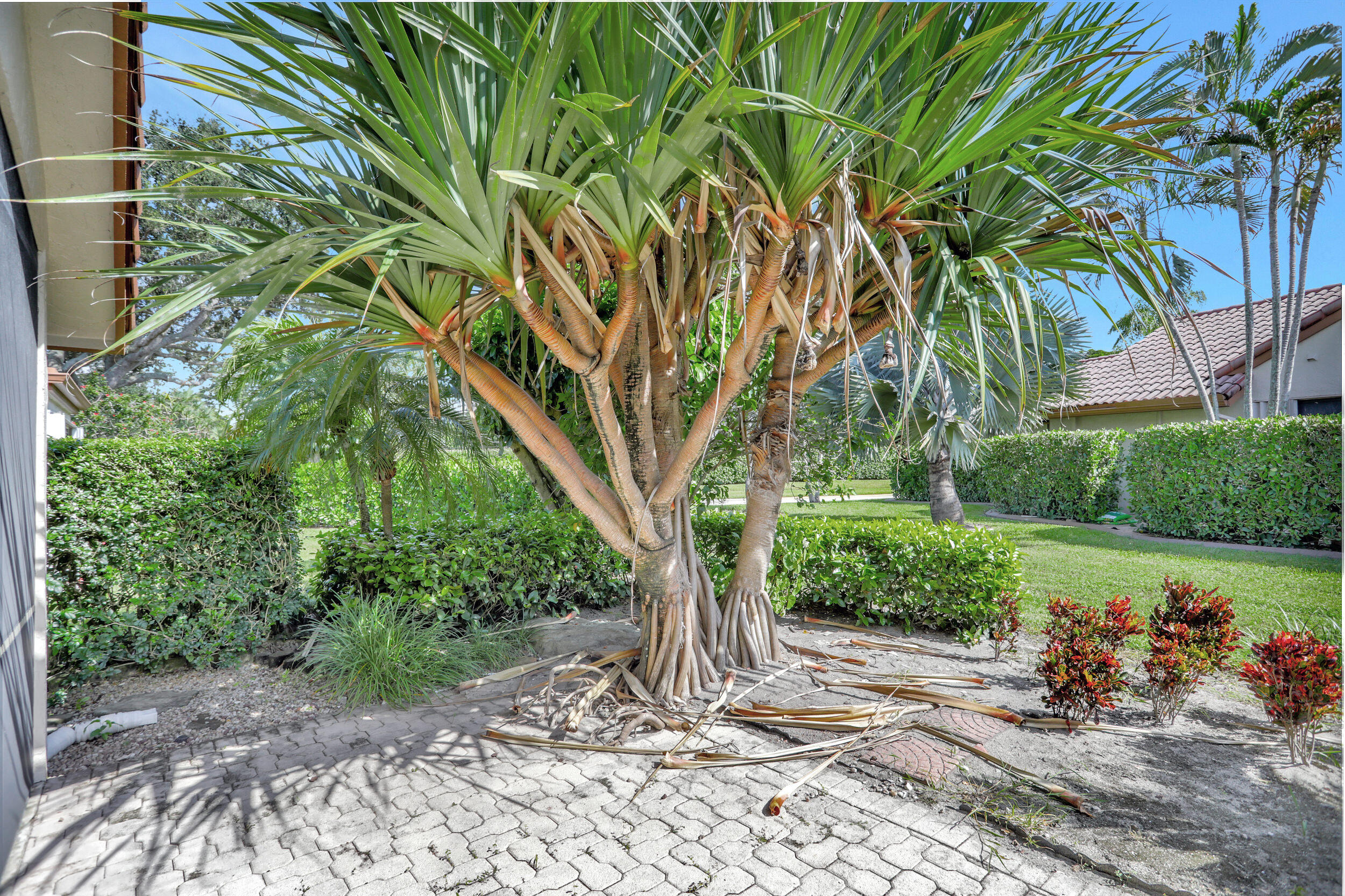 23271 Water Circle Boca Raton, FL 33486 - Photo 29 of 64 a view of a garden with a tree
