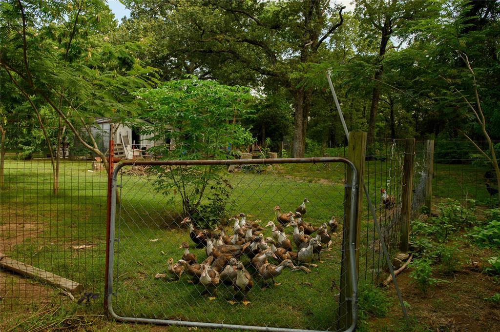 1468 Cedar Mills Road Gordonville, TX 76245 - Photo 31 of 35 a view of a lake