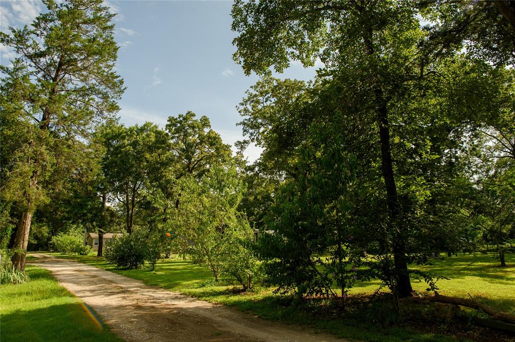 1468 Cedar Mills Road Gordonville, TX 76245 - Photo 35 of 35 a view of a yard with a tree