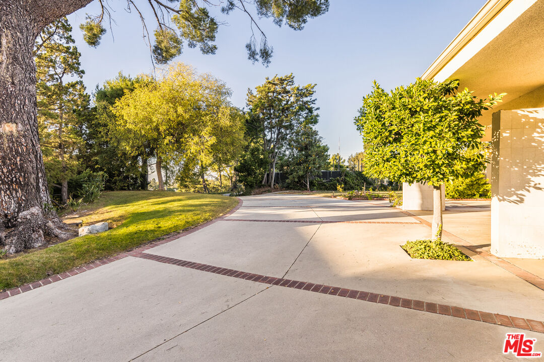 1950 Carla Ridge Beverly Hills, CA 90210 - Photo 6 of 29 a view of a swimming pool with a yard
