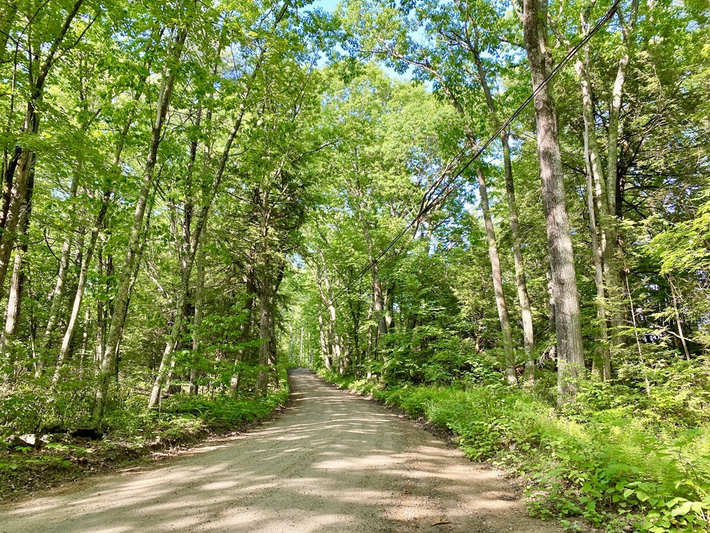 Lot 3 Emerald Road Rutland, MA 01543 - Photo 5 of 8 a view of a yard