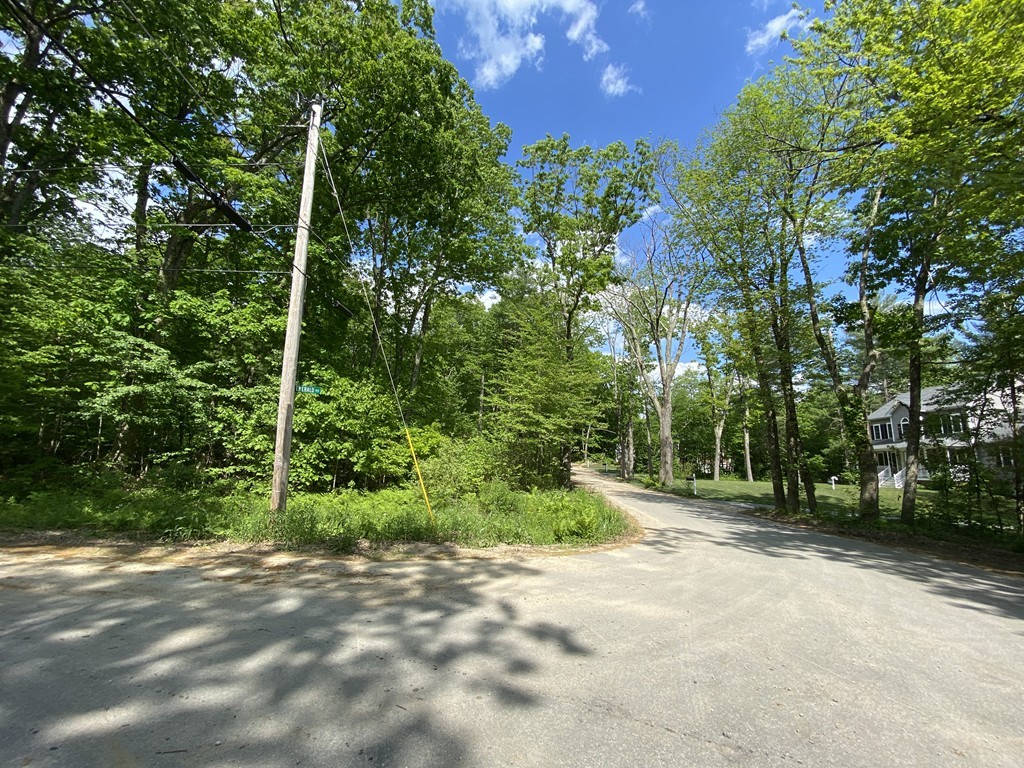 Lot 3 Emerald Road Rutland, MA 01543 - Photo 7 of 8 a view of a yard with plants and large trees