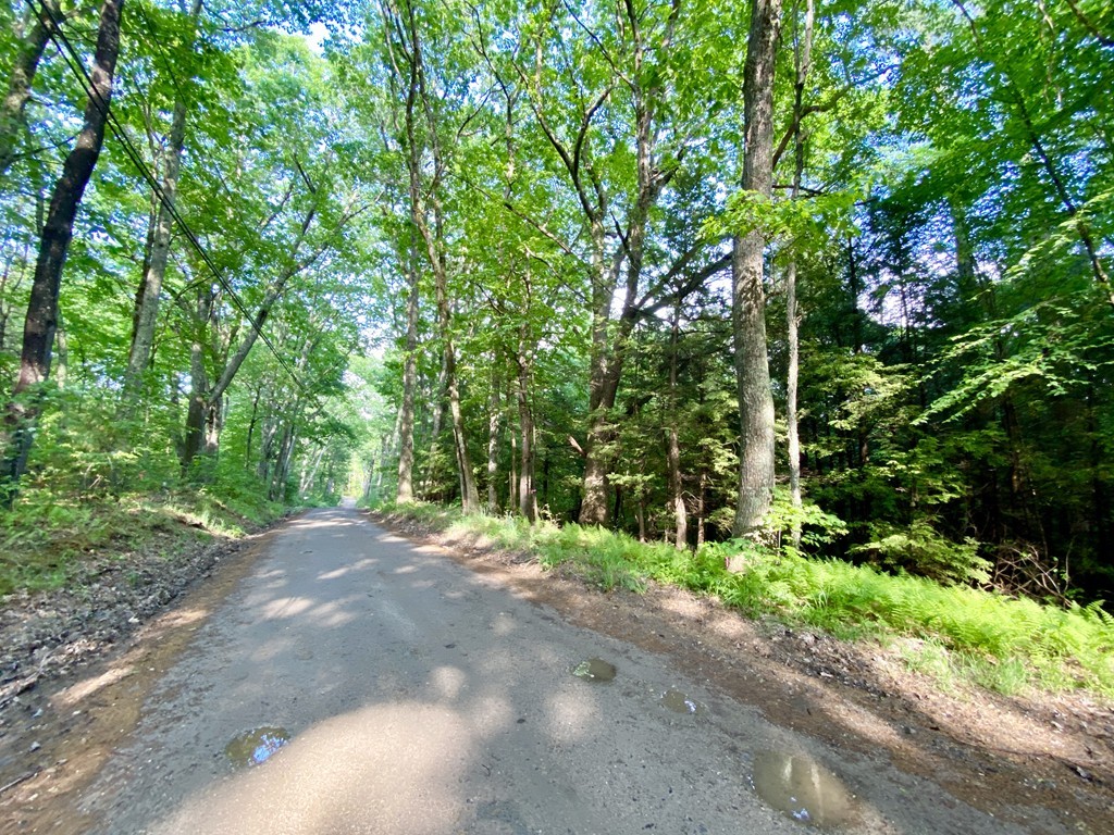 Lot 3 Emerald Road Rutland, MA 01543 - Photo 8 of 8 a view of a road with plants and large trees